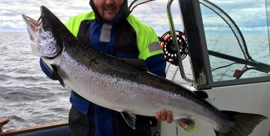 Merilohi 13,5kg