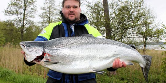 Merilohi 19,5kg